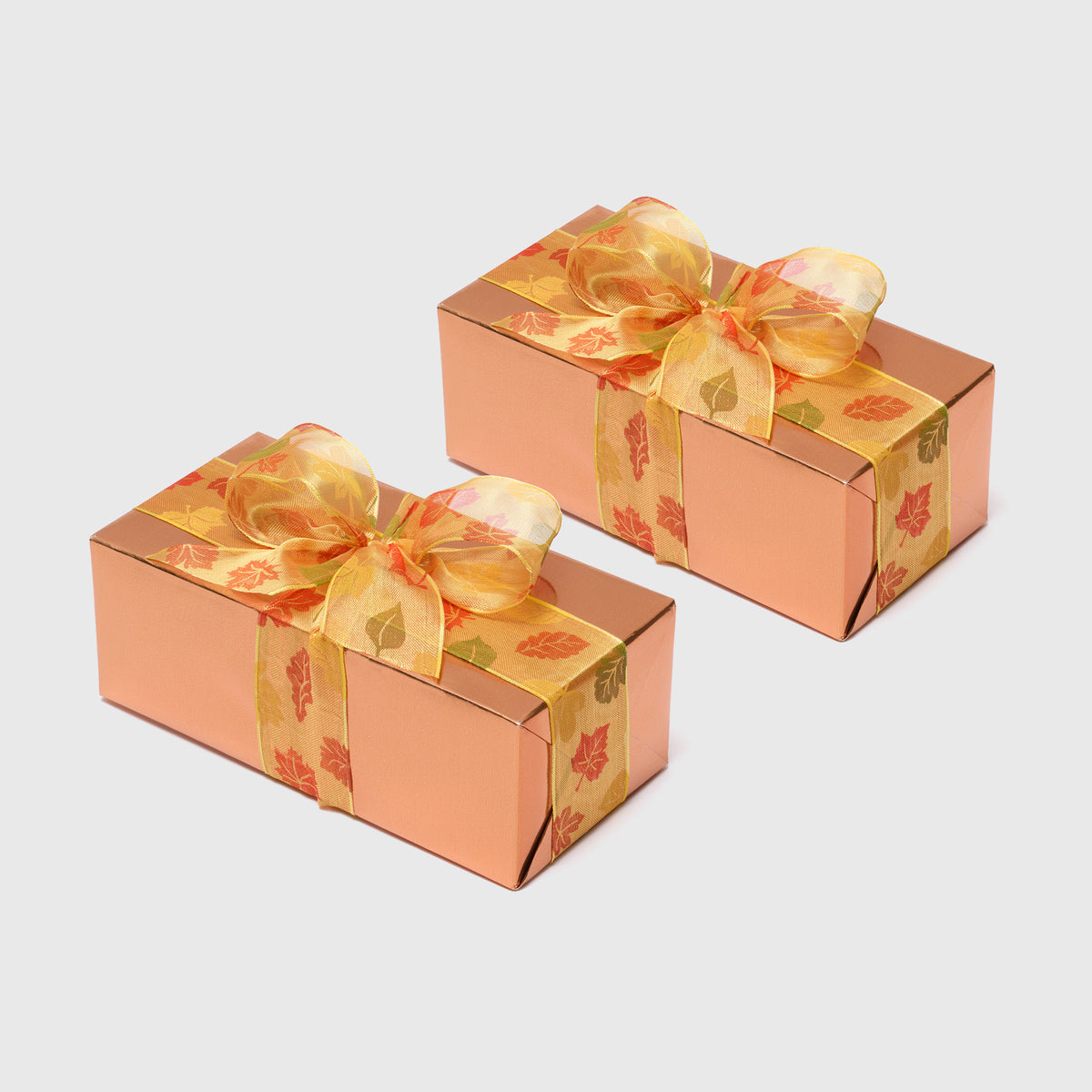 Gatte Fall Truffle Selection Ballotin Boxes