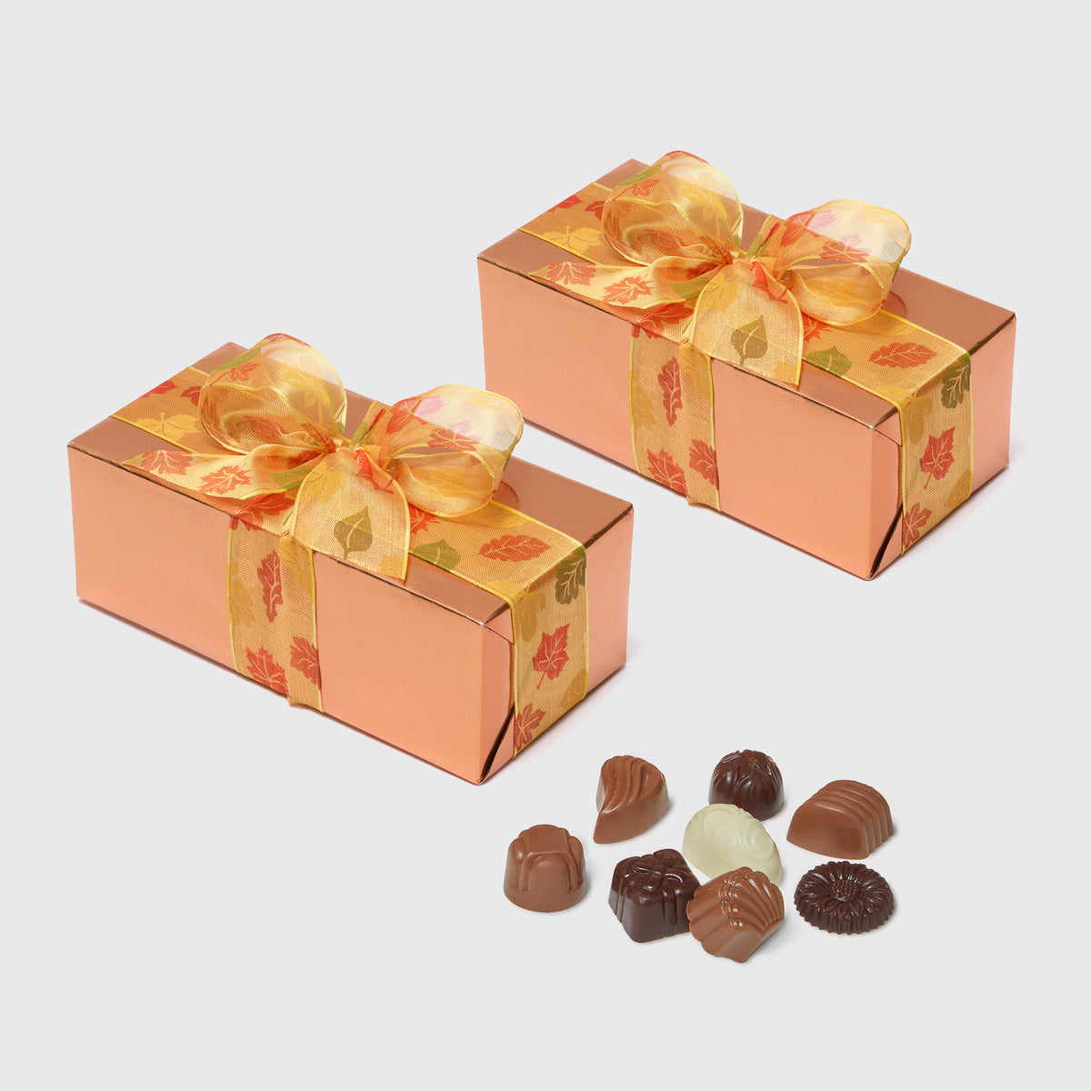 Gatte Fall Truffle Selection in Ballotin Boxes